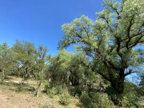 Lote espectacular en La Población de 2 Has. - Traslasierras