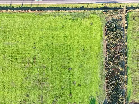 Fraccion de campo para desarrollos en roldan sobre ruta a012 km 46