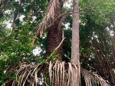 Terreno en Venta en Banfield, USD 232.000