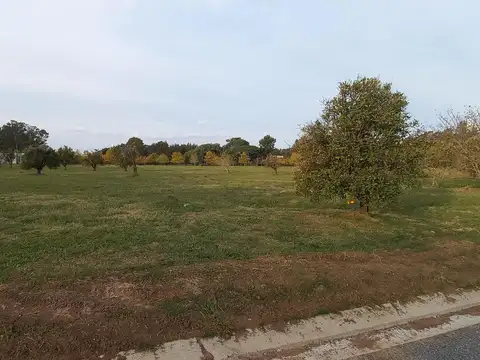 Terreno en Venta en Fighiera, USD 90.000