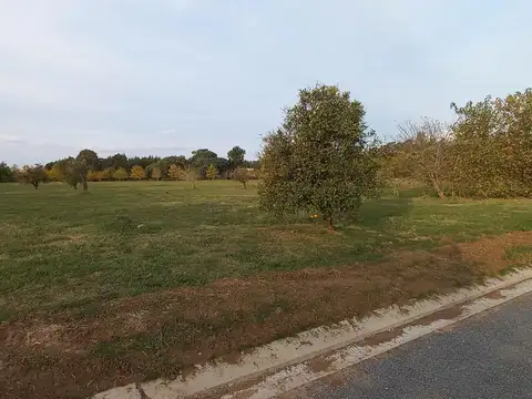 Ruta provincial nº 21 km 25