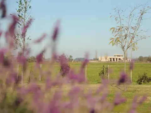 Terreno en Venta en Chacras de la Trinidad, USD 45.000