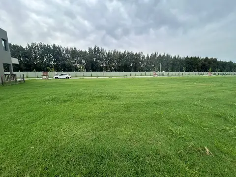 Lote en Venta en Carpinchos, Nordelta 100