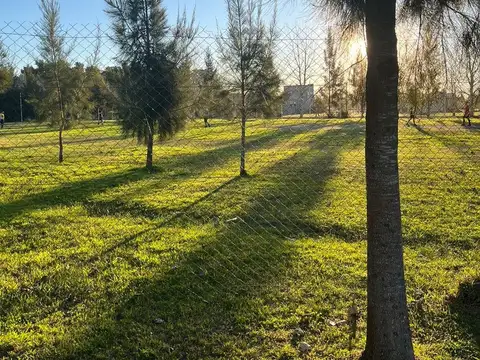 Terreno en Venta de 300,0 m2