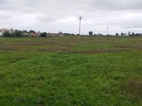 EN VENTA- 18HA PARA INVERSORES-MONTE MAIZ, CORDOBA