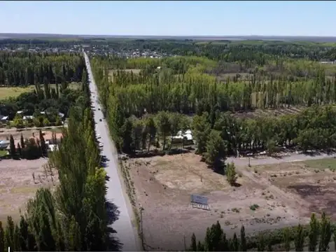 VENTA LOTES RESIDENCIALES CIPOLLETTI