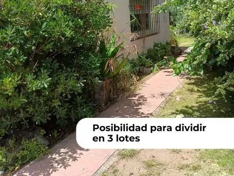 Terreno en Venta en Ranelagh, USD 260.000