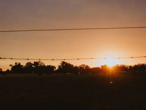 TOMAS JOFRE OPORTUNIDAD 1/2 HA EXCELENTE TERRENO  METROS POLO GASTRONOMICO CON TITULOS