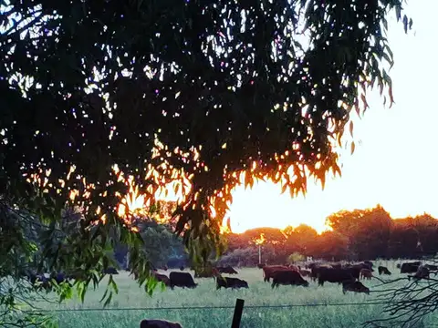 Terreno en Venta en Tomas Jofre, USD 30.000