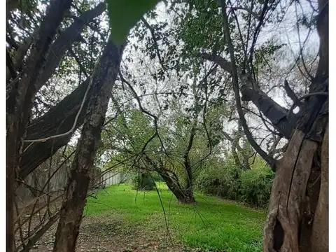 Terreno en Venta 13  mts Frente