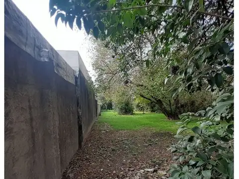 Terreno en Venta 40  mts Fondo