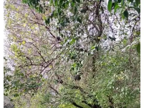 JUAN DE GARAY  2065 , Piso 0