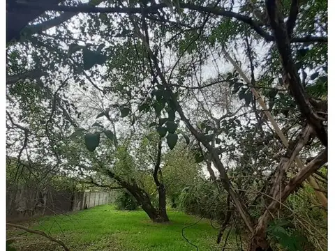 JUAN DE GARAY  2065 , Piso 0