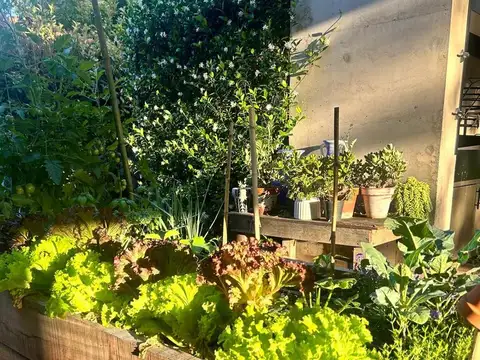 Casa en Alquiler Temporal en La Chacra, $ 10