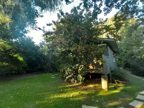 Rio / Arroyo Toro Yaguareté 100