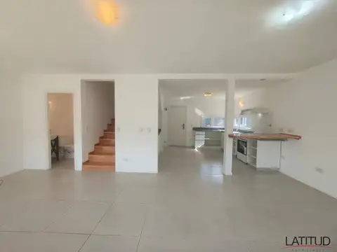 Pajaro Carpintero 410 100