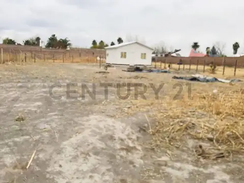 Buenos Vecinos 1700, Piso 0