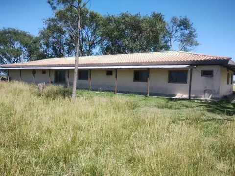 Campo en Venta - SALADILLO - 500 Ha.