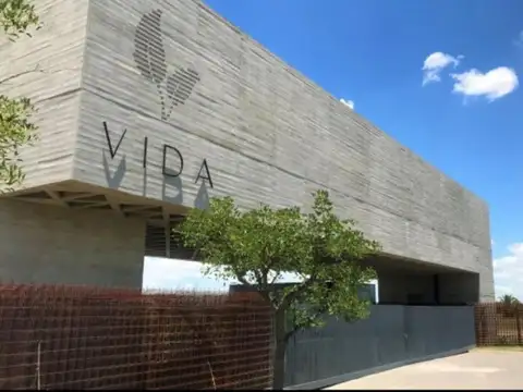 Arturo Illia y Las Golondrinas