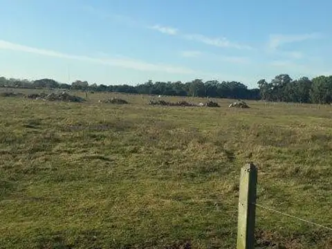 Terreno en Venta en Aguas Verdes, USD 330.000