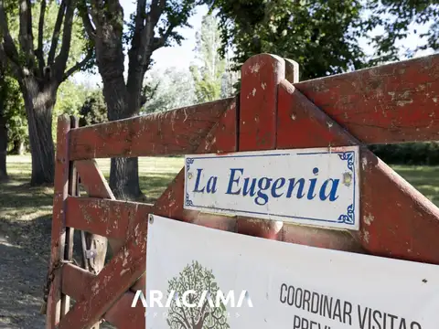Lotes en Venta en La Eugenia - Maximo Paz