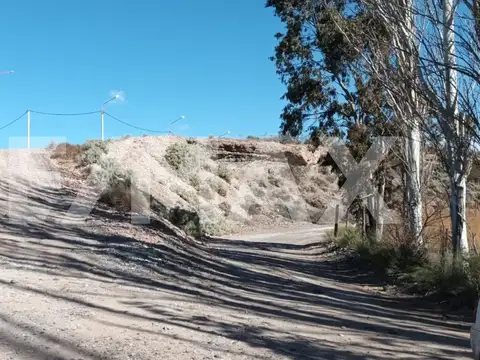 Terreno en Alquiler de 10000,0 m2