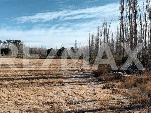 ALQUILER DE HECTÁREA - VISTA ALEGRE