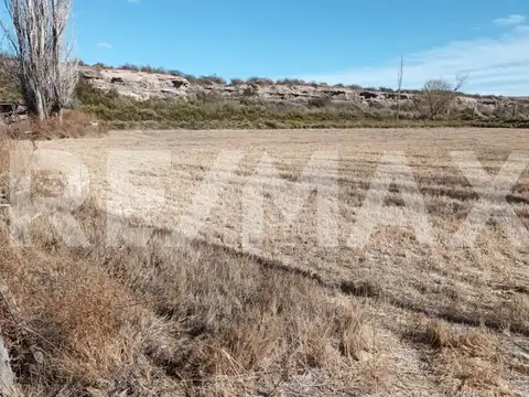 Terreno en Alquiler de 10000,0 m2