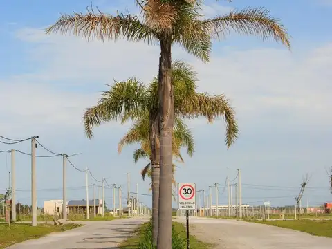 CHA Venta Lote 3700m2 El Lazo Capilla del Señor