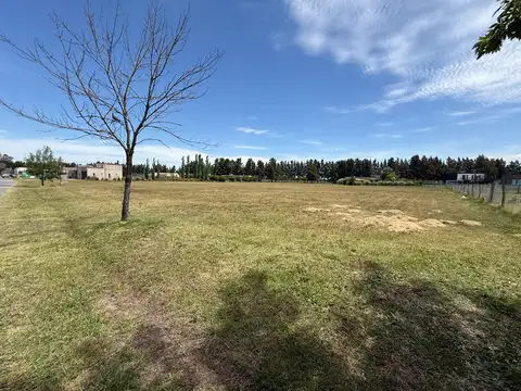 Terreno en Venta 98  mts Frente