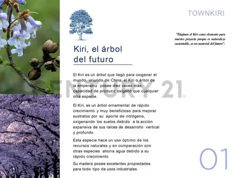 Av, De Los Colegios 100