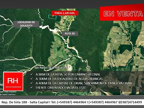 Campo en Venta Forestal