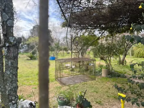 LOTE EN VENTA LA PLATA ARBOLADO