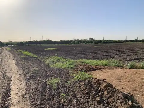 Campo 3 hectáreas Agrícolas Soldini