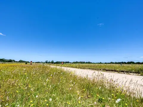 Terreno en Venta de 601,0 m2