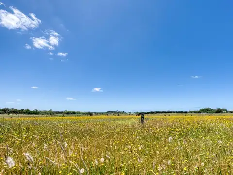 Terreno en Venta en Casonas Del Haras, USD 71.000