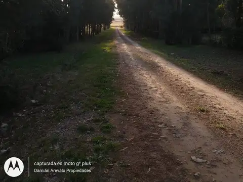 VENDO TERRENO EN LOMA DE CAMPANO