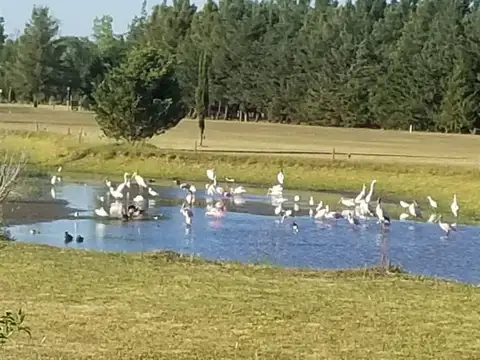 Casa 5 ambientes con 1 baño
