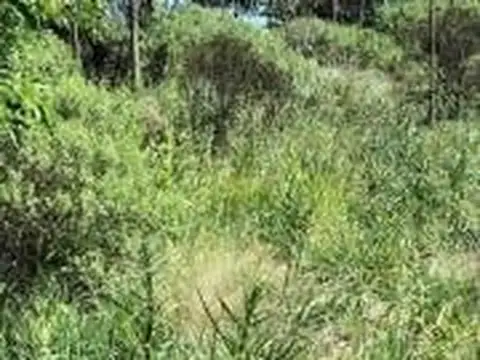 Quinta en Venta en Stella Maris, USD 55.000