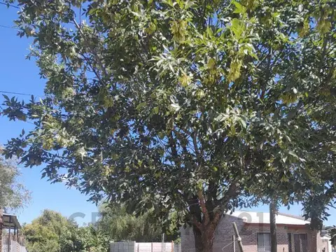 Terreno en Venta en Andino, USD 19.000