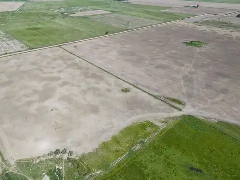 Campo en Luis Palacios