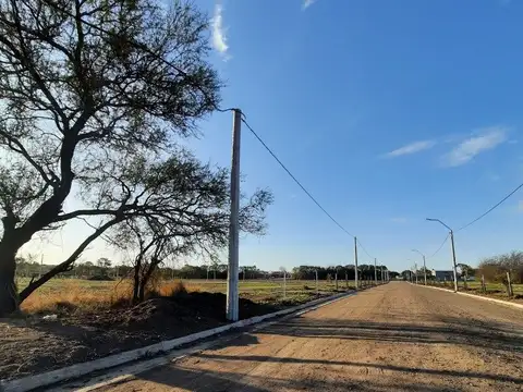 VENTA-LOTES-SINSACATE-LOS ALGARROBOS