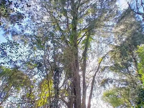 Terreno en Venta 10  mts Frente