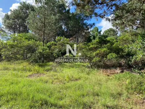 TÍO TOM A 500 MTS. DEL MAR