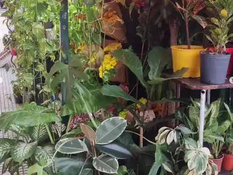 Fondo Comercio en Venta en San Nicolás, USD 27.000