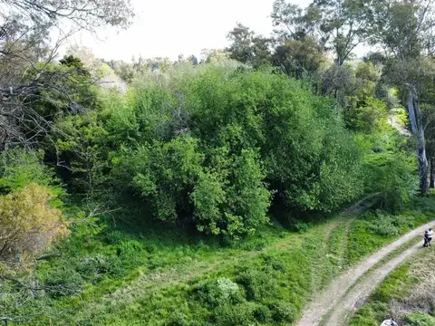 Terreno en Venta de 12364,0 m2