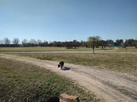 Terreno en Venta en Estancia Villa Maria, USD 55.000