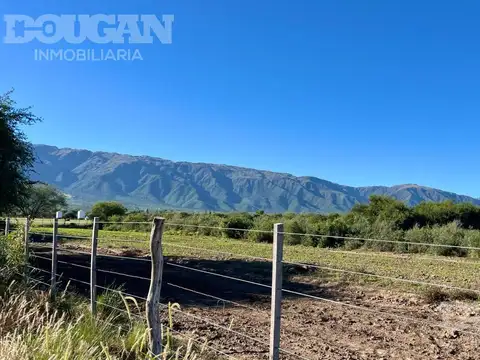 Terreno en Venta 74  mts Fondo