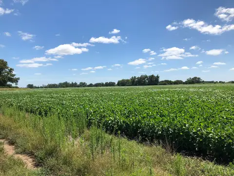 Fracción de campo en General Rodríguez
