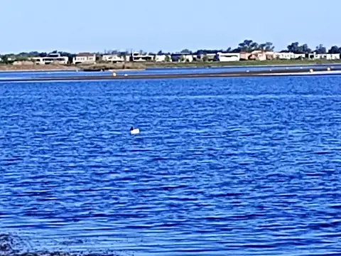 Terreno en Venta de 1429,0 m2